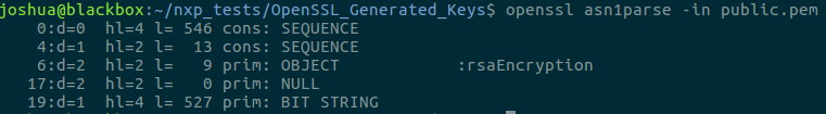 Generate key with openssl